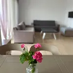 Suzi\'S Apartment